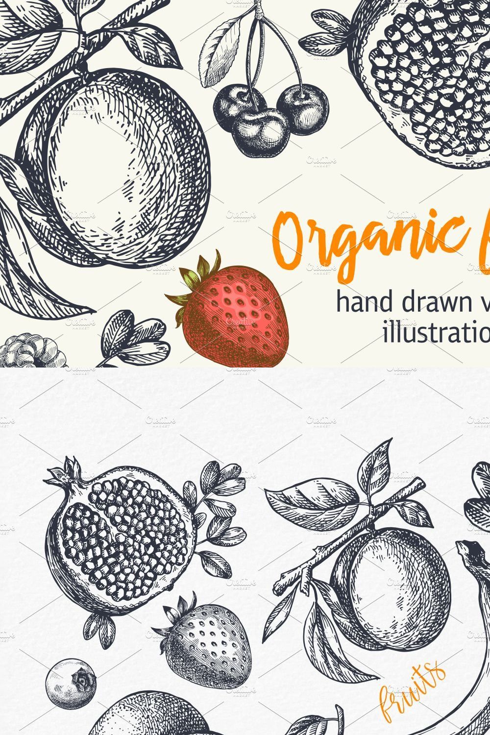 Fruits. Hand drawn collection. pinterest preview image.