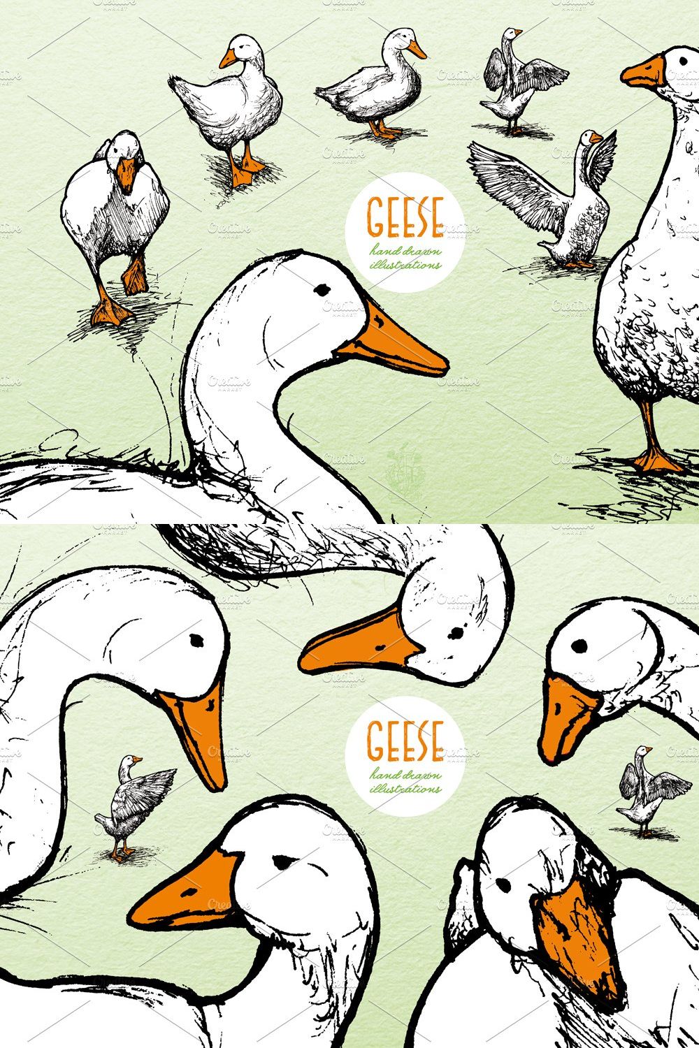 Geese - Hand Drawn Illustrations pinterest preview image.