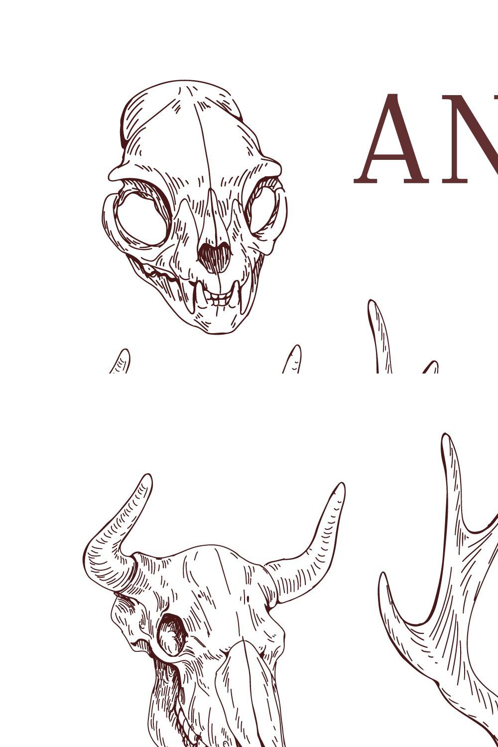 Hand drawn animal & bird skulls set pinterest preview image.