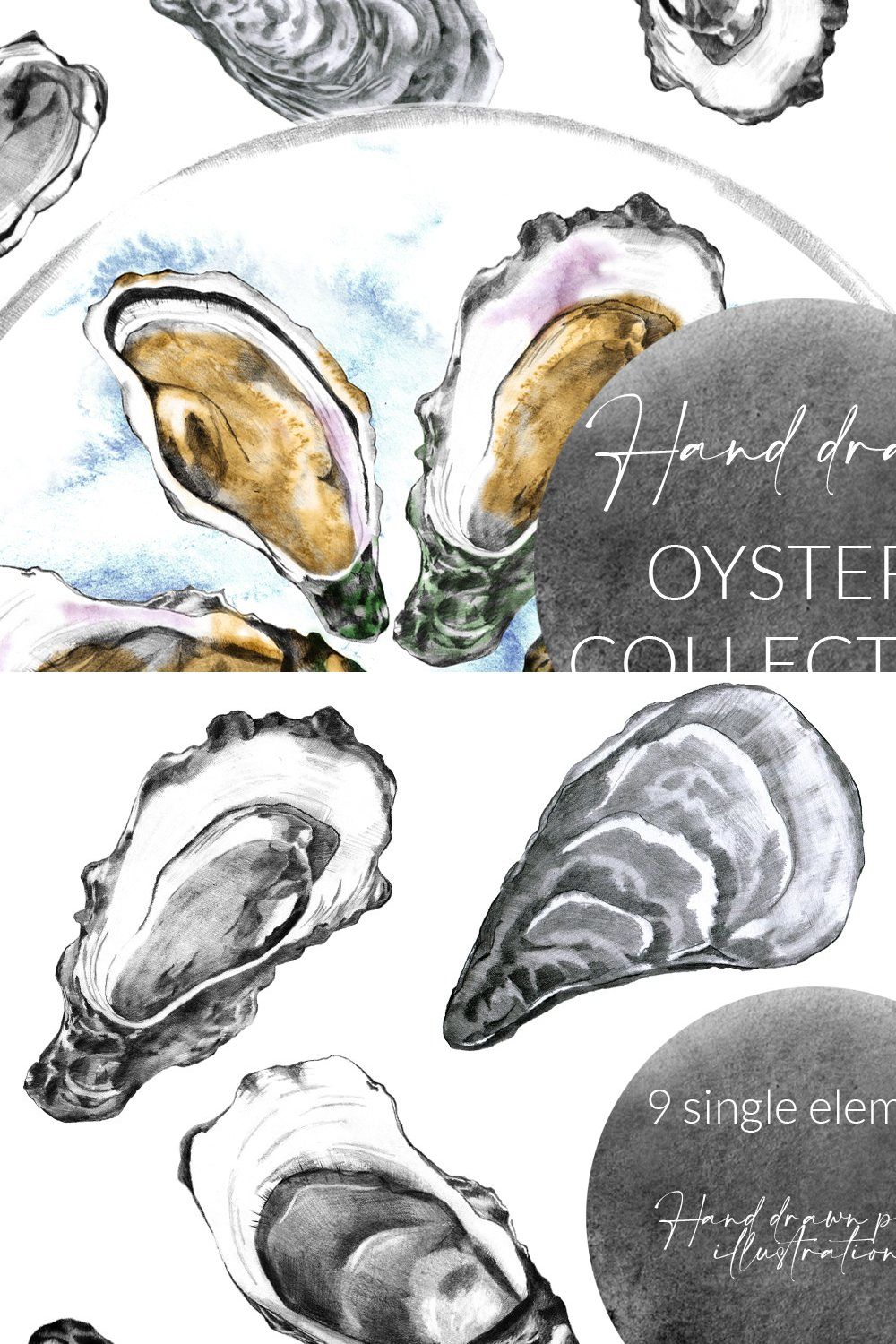 Hand Drawn Oysters Collection pinterest preview image.