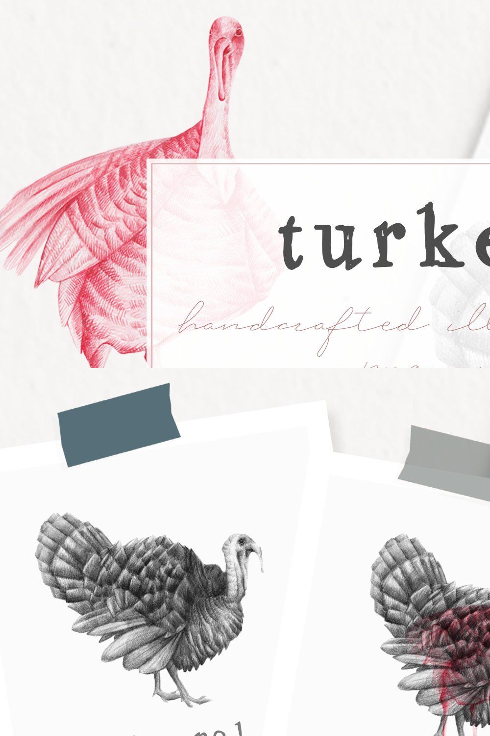 Hand drawn Turkeys Illustrations pinterest preview image.