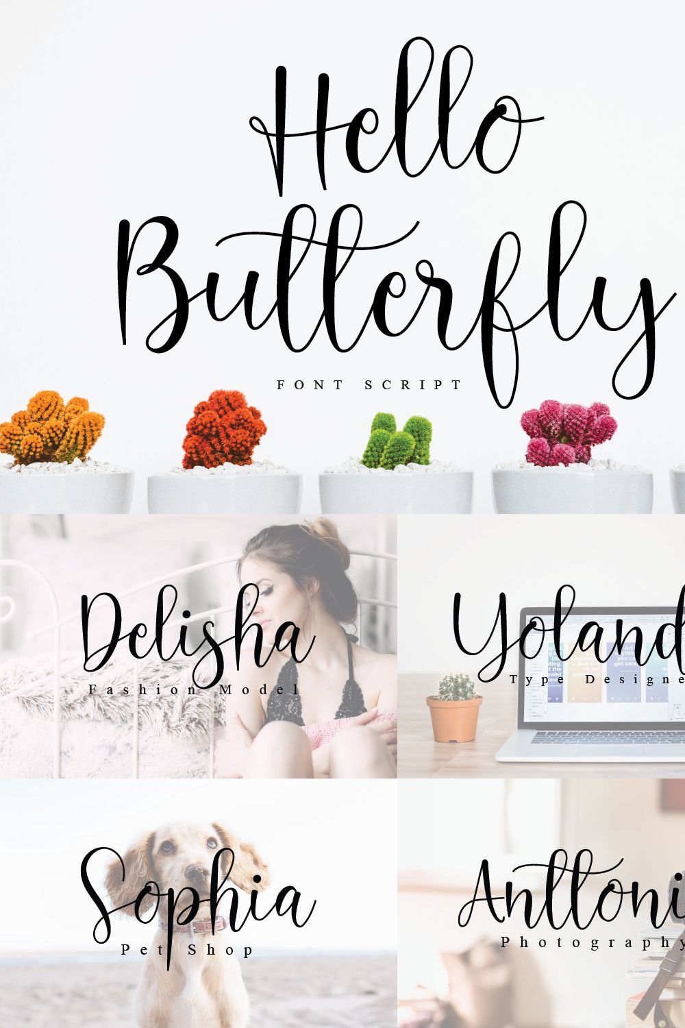 Hello Butterfly Font Script pinterest preview image.