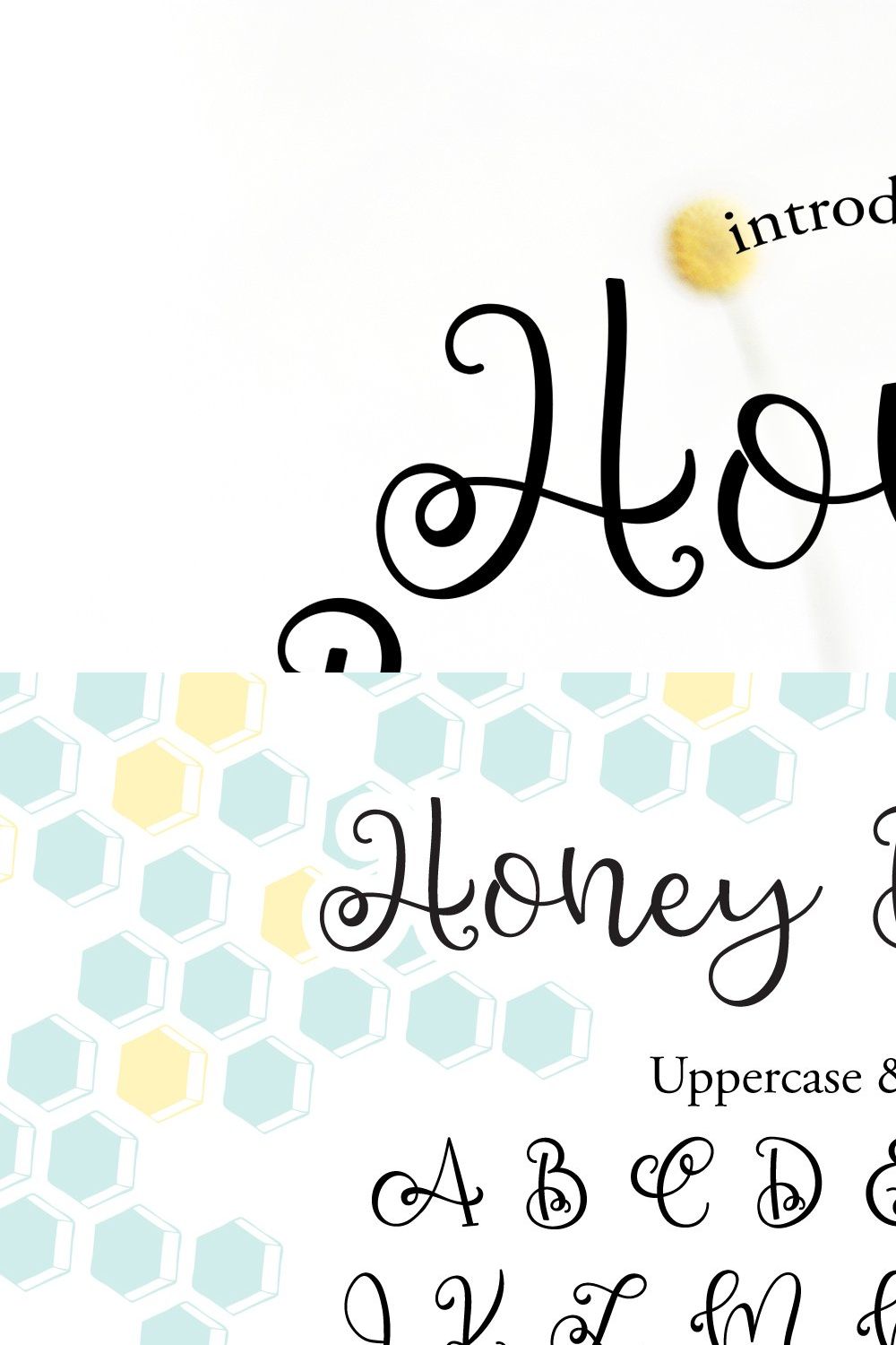 Honey Bumbles, a curly round script pinterest preview image.