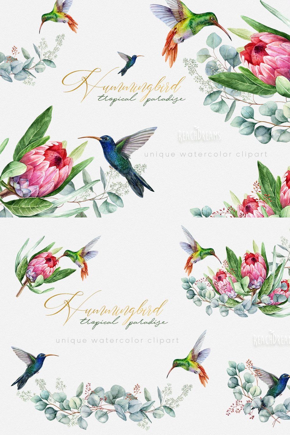 Hummingbird Birds Collection pinterest preview image.