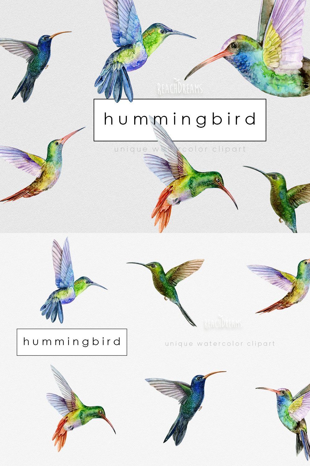 Hummingbird Birds Collection pinterest preview image.