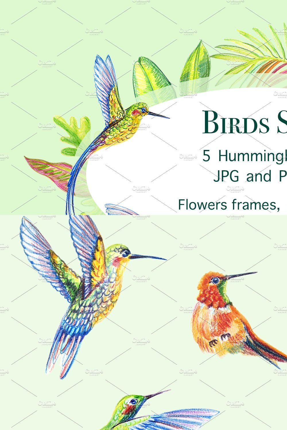 Hummingbirds. Tropical birds. pinterest preview image.