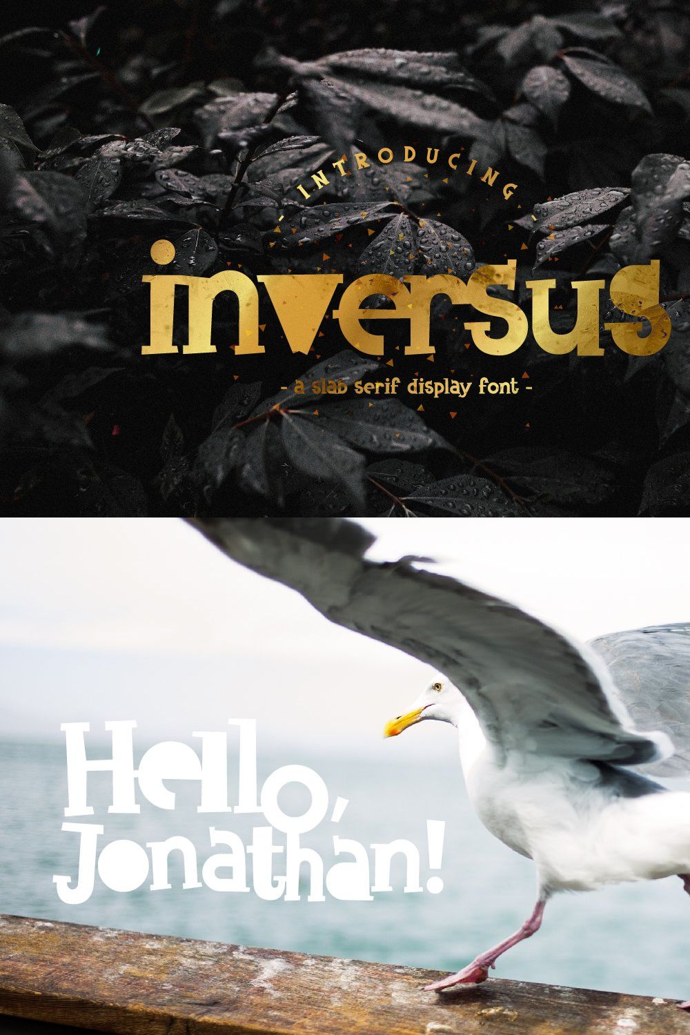 Inversus – a slab serif display font pinterest preview image.