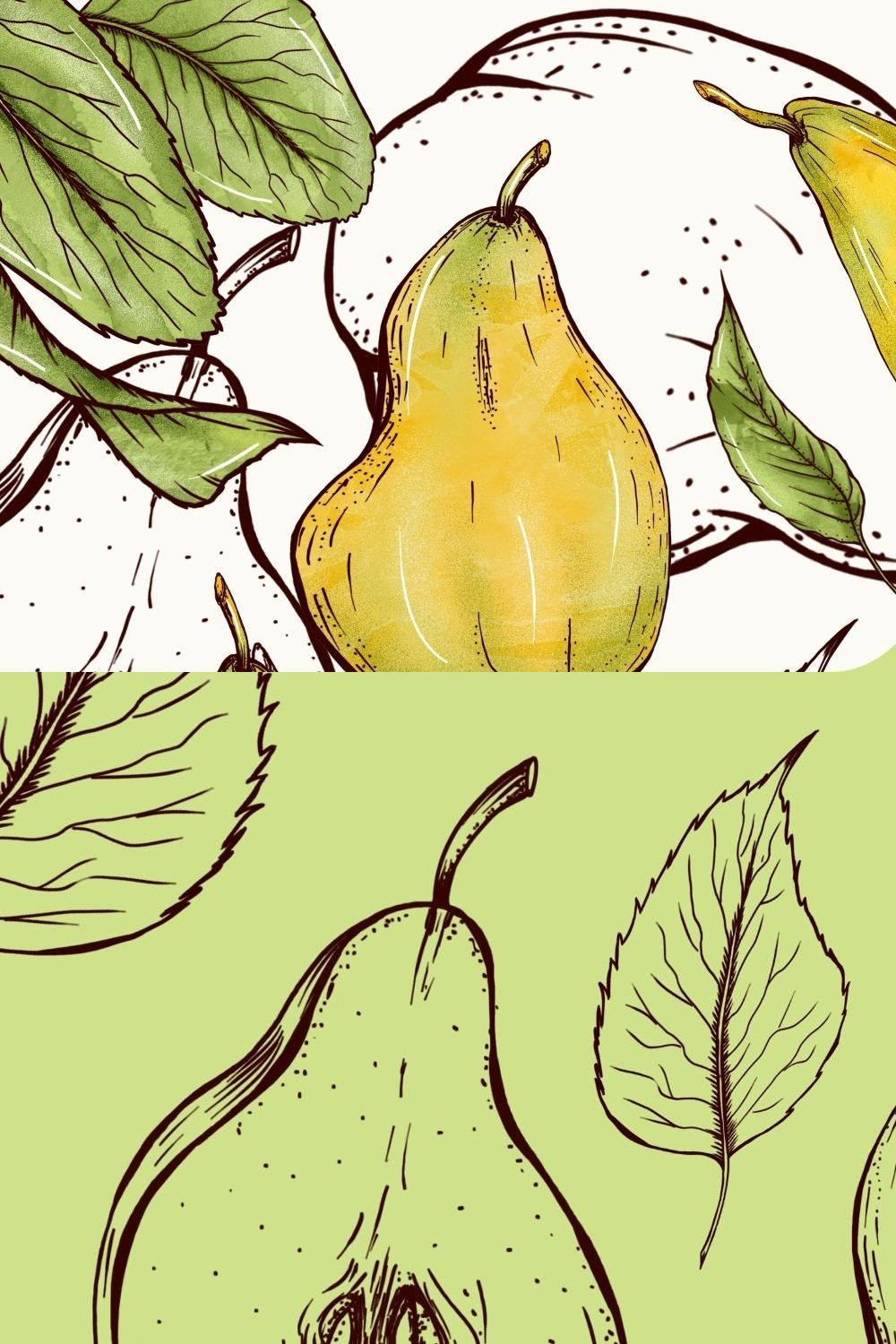 Juicy pears set clipart pinterest preview image.