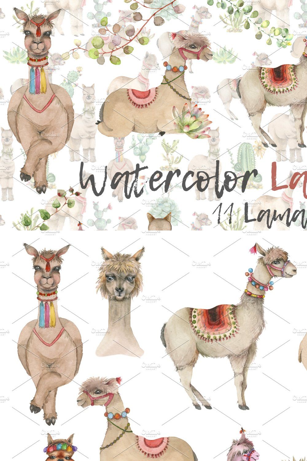 Lama in cactus collection pinterest preview image.