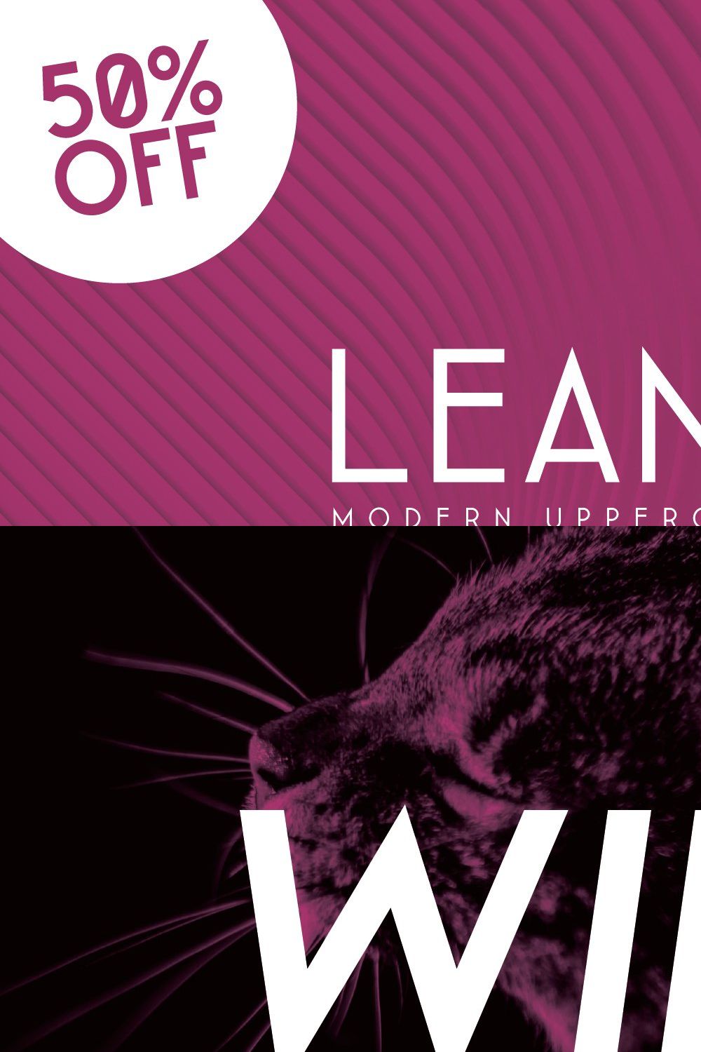 Leaner Font - 3 weights pinterest preview image.