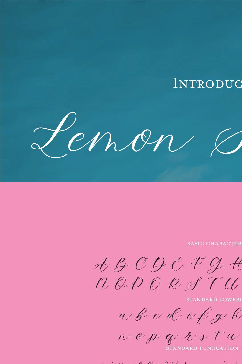 Lemon Squeezy Calligraphy Font pinterest preview image.