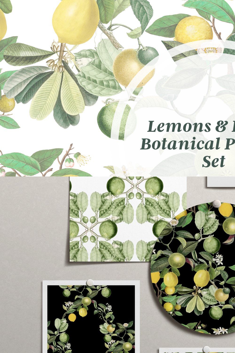 Lemons & Limes Botanical Pattern Set pinterest preview image.