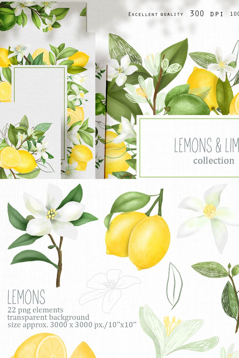 Lemons & limes collection pinterest preview image.