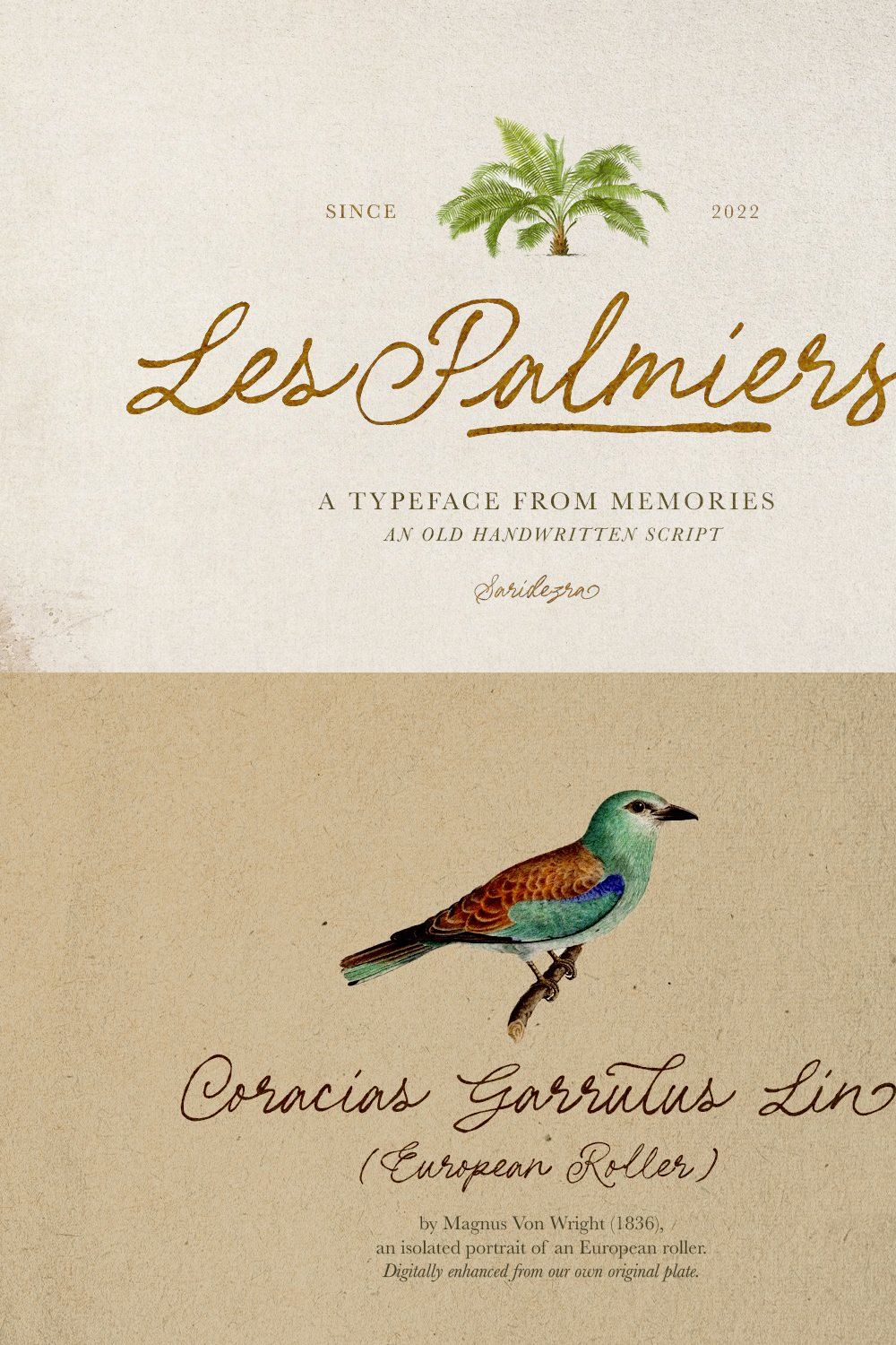 Les Palmiers - Handwritten Script pinterest preview image.