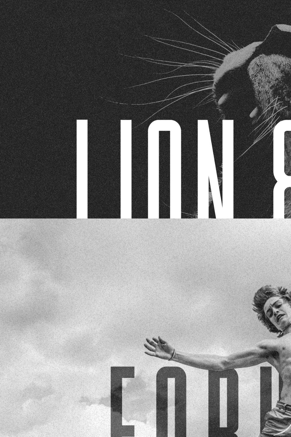 Lion & Hare Font + Bonus Fonts! pinterest preview image.