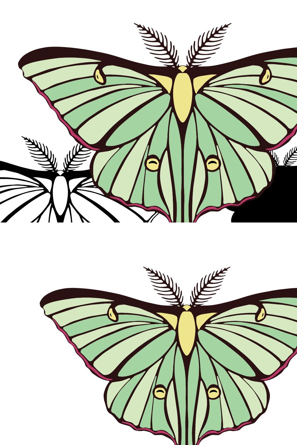 Luna Moth Vector Graphic Set pinterest preview image.