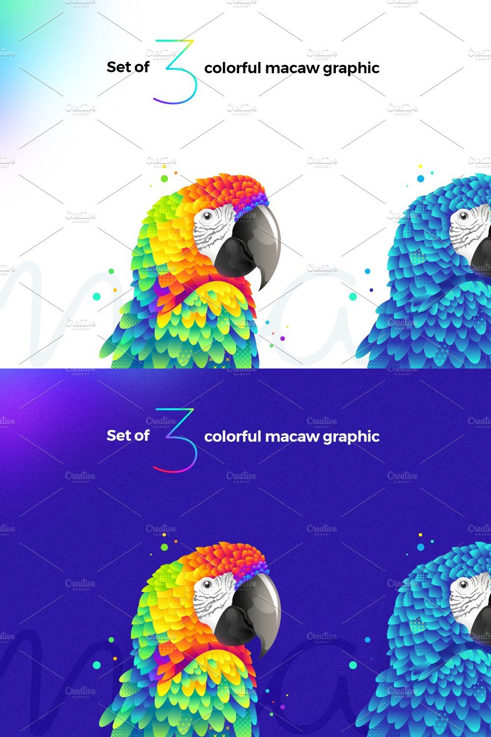 Macaw illustration set pinterest preview image.