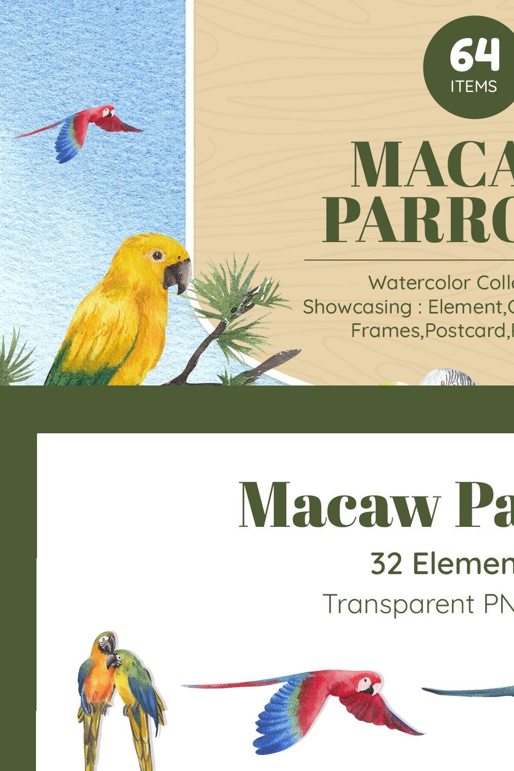 Macaw Parrots  Watercolor pinterest preview image.
