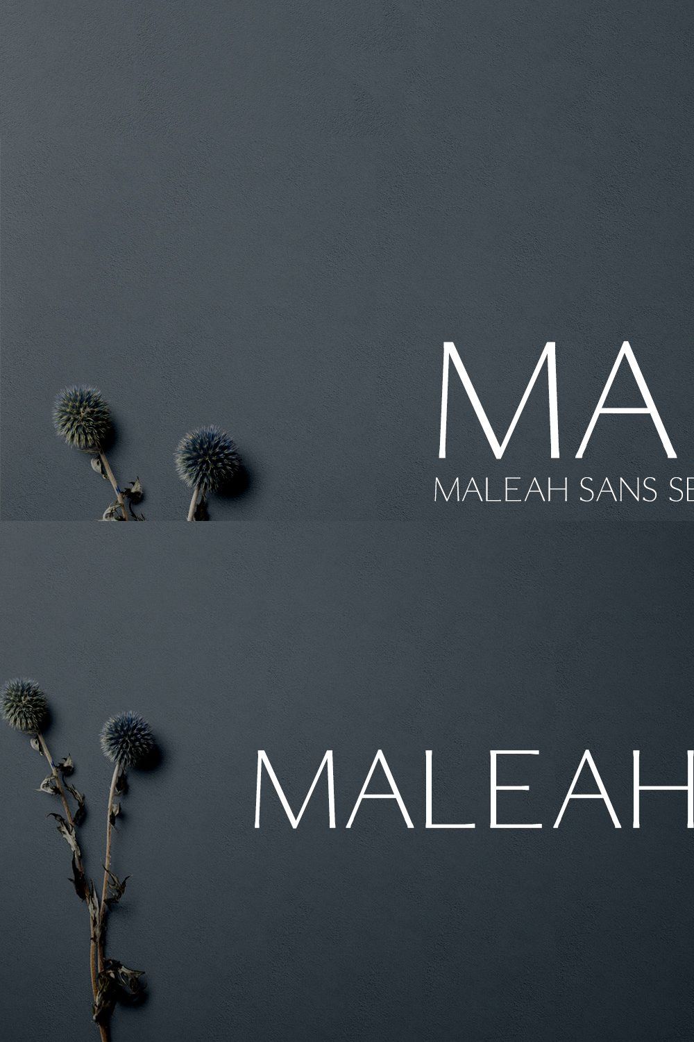 Maleah Sans Serif 4 Font Family Pack pinterest preview image.