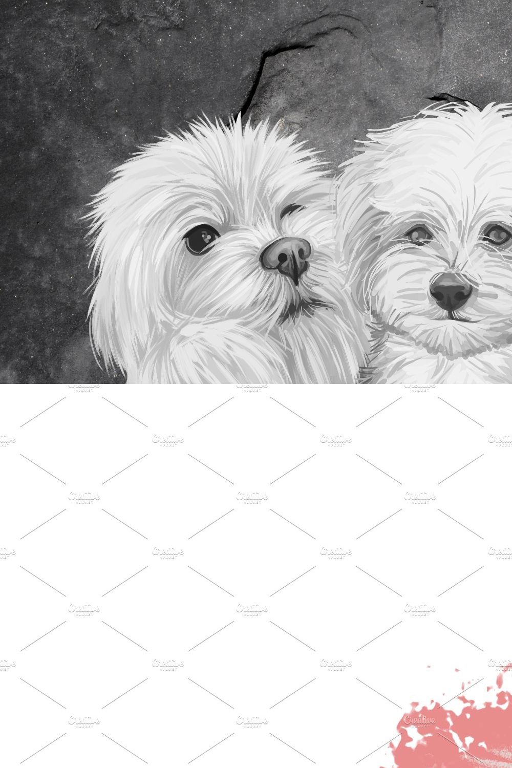 Maltese Dogs  Cross Breeds PSD, PNG pinterest preview image.