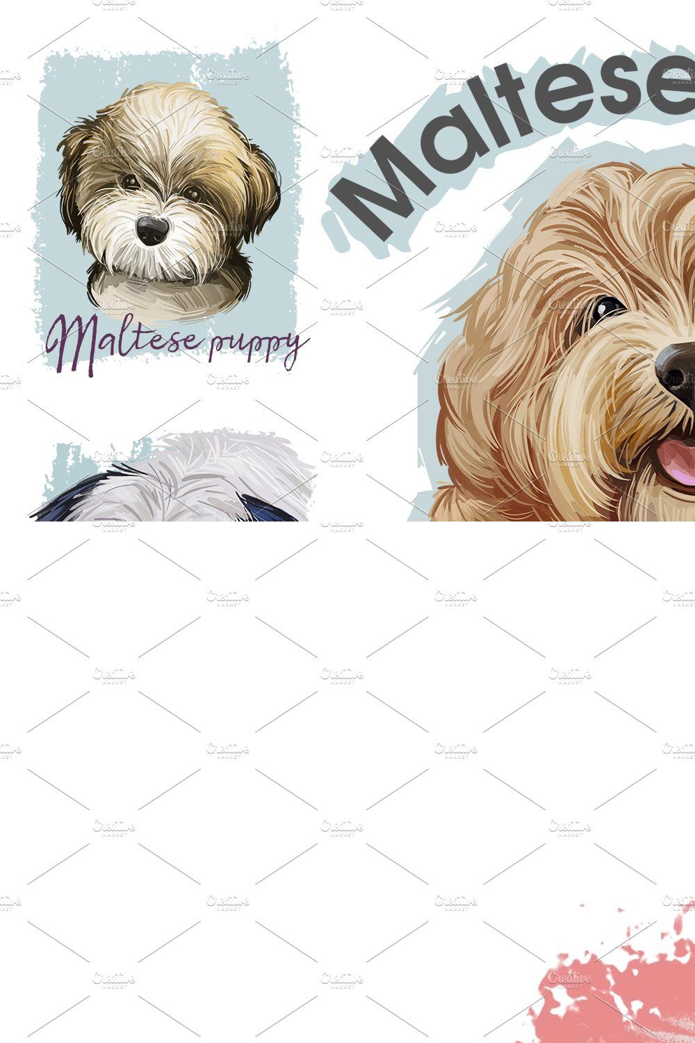 Maltese Dogs, Cross Breeds Puppies pinterest preview image.