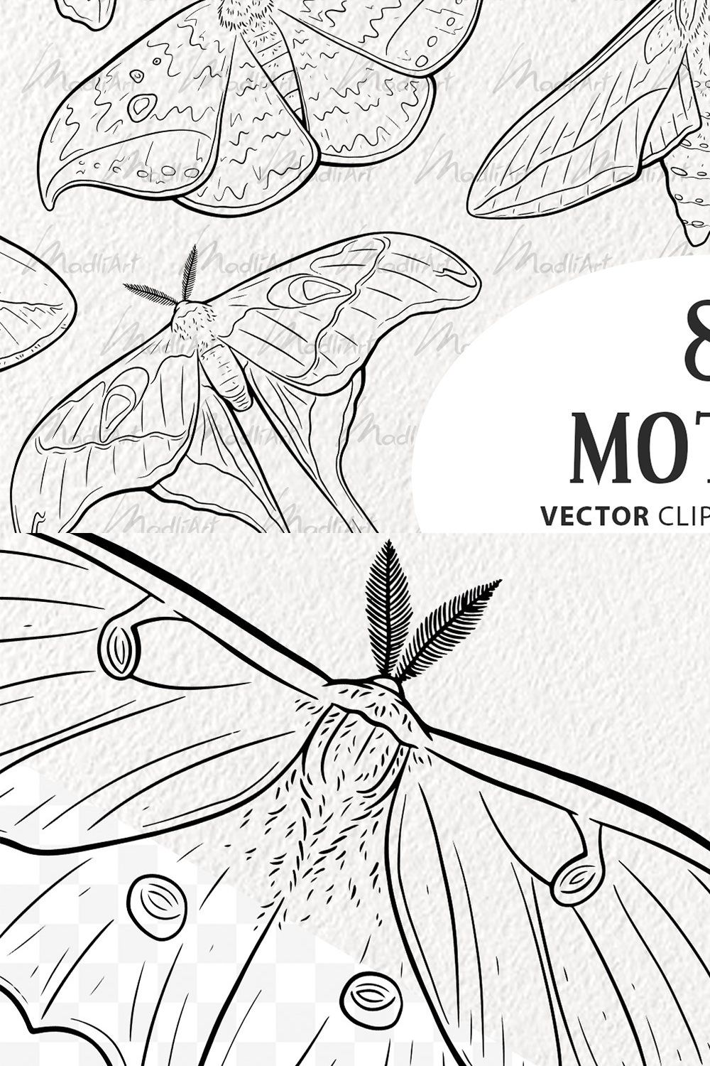 Moth Vector Clipart Bundle pinterest preview image.