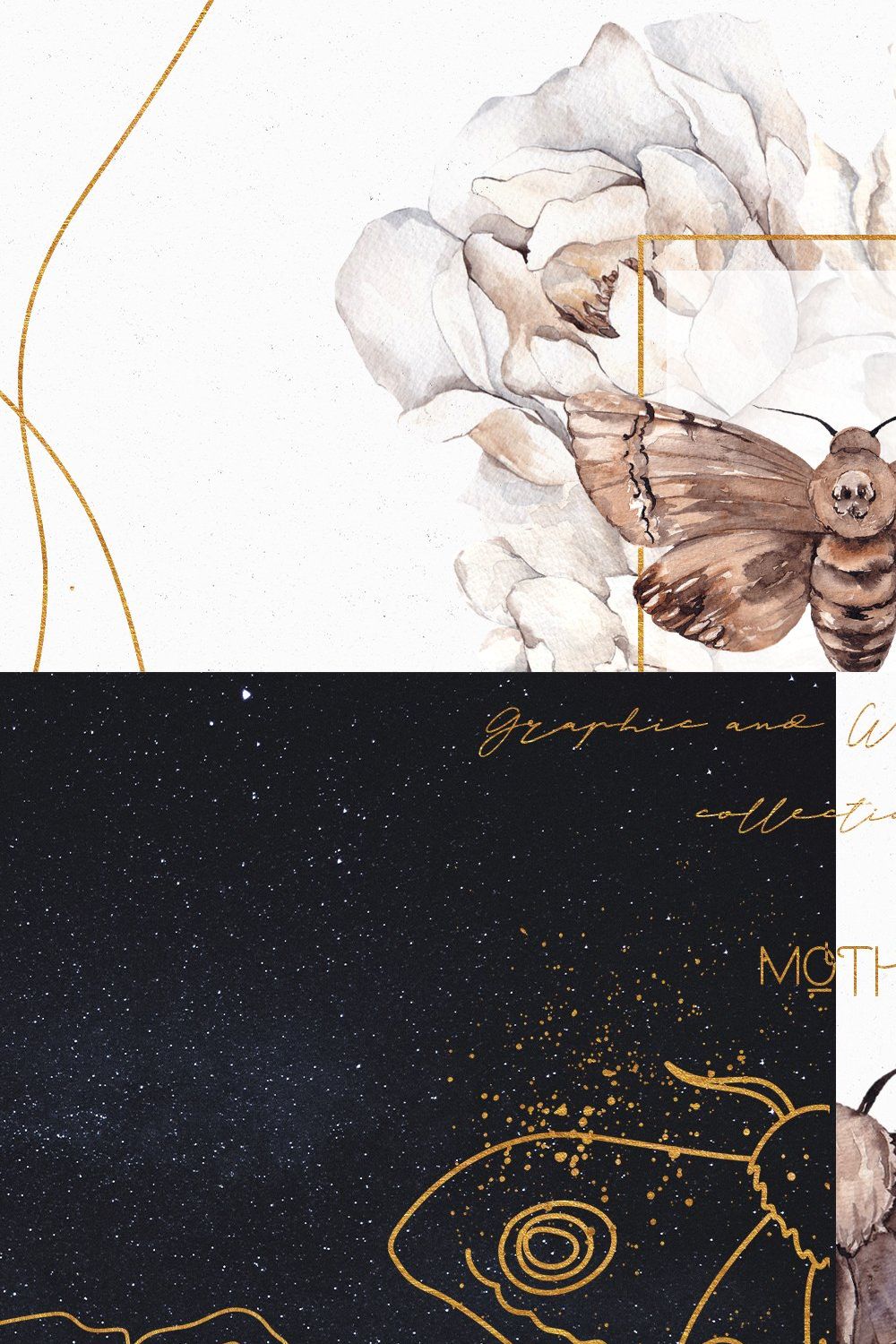 Moth. Watercolor and graphic. pinterest preview image.