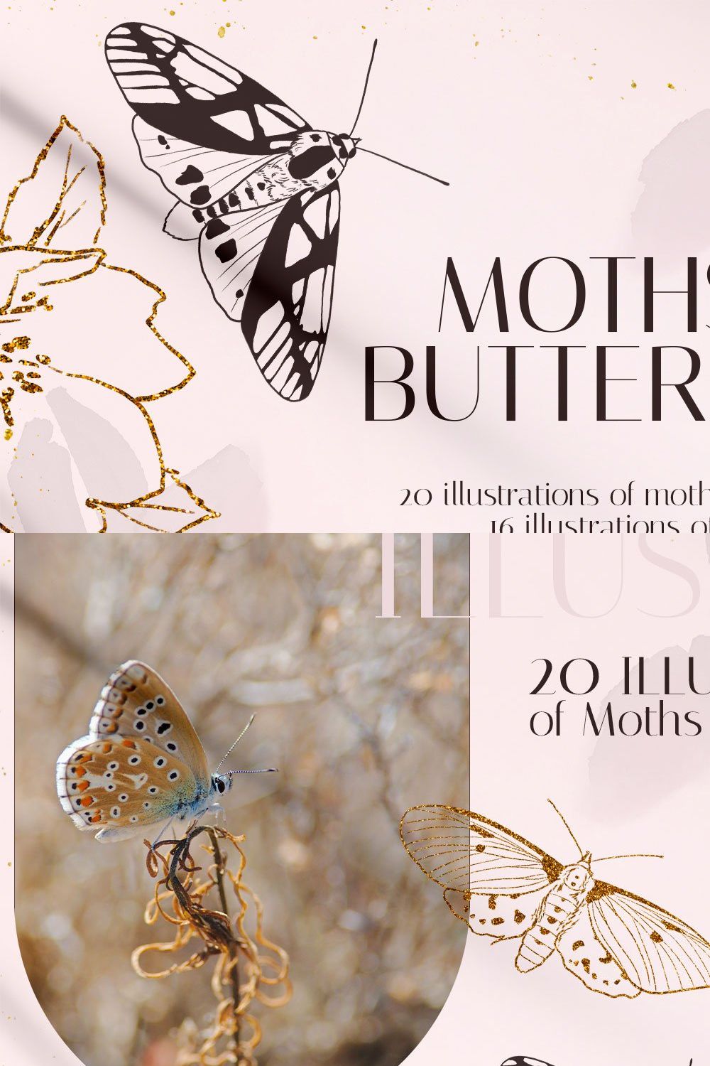 MOTHS & BUTTERFLIES illustration set pinterest preview image.