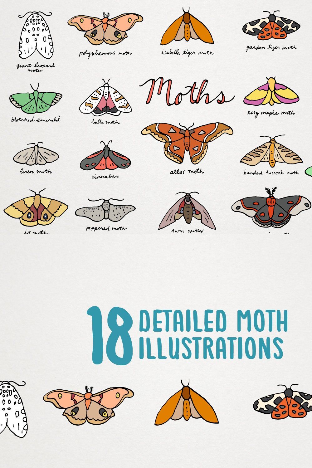 Moths of the World Illustration pinterest preview image.