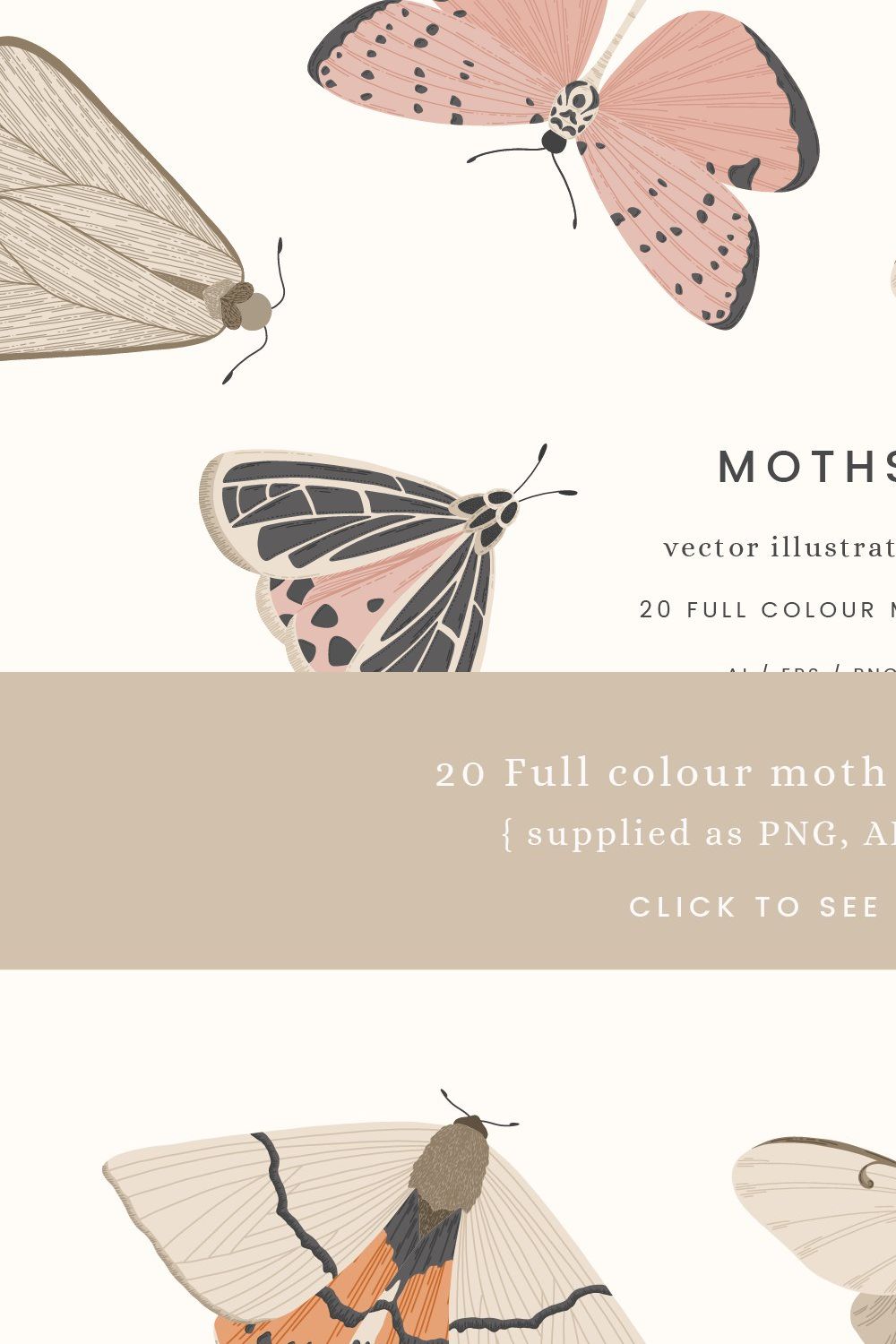 Moths Vector Illustrations pinterest preview image.