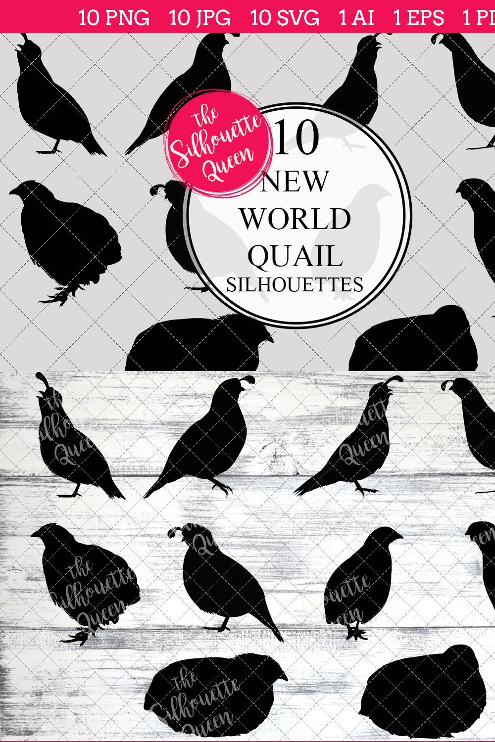 New world quail Silhouette Vector pinterest preview image.