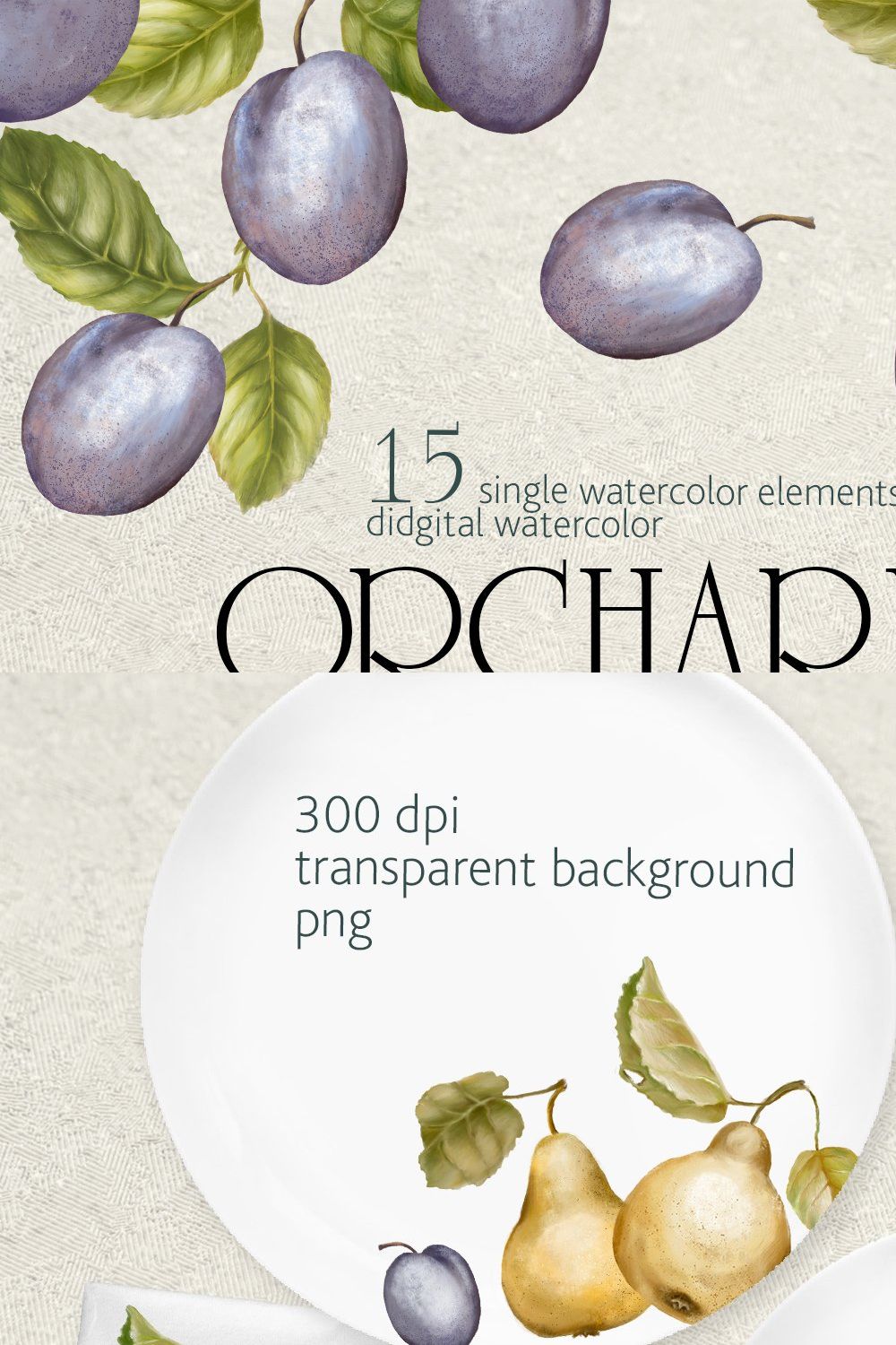 Orchard fruit. Pears and plums pinterest preview image.