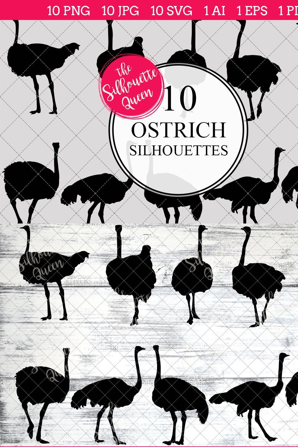 Ostrich Silhouette Vector Graphics pinterest preview image.
