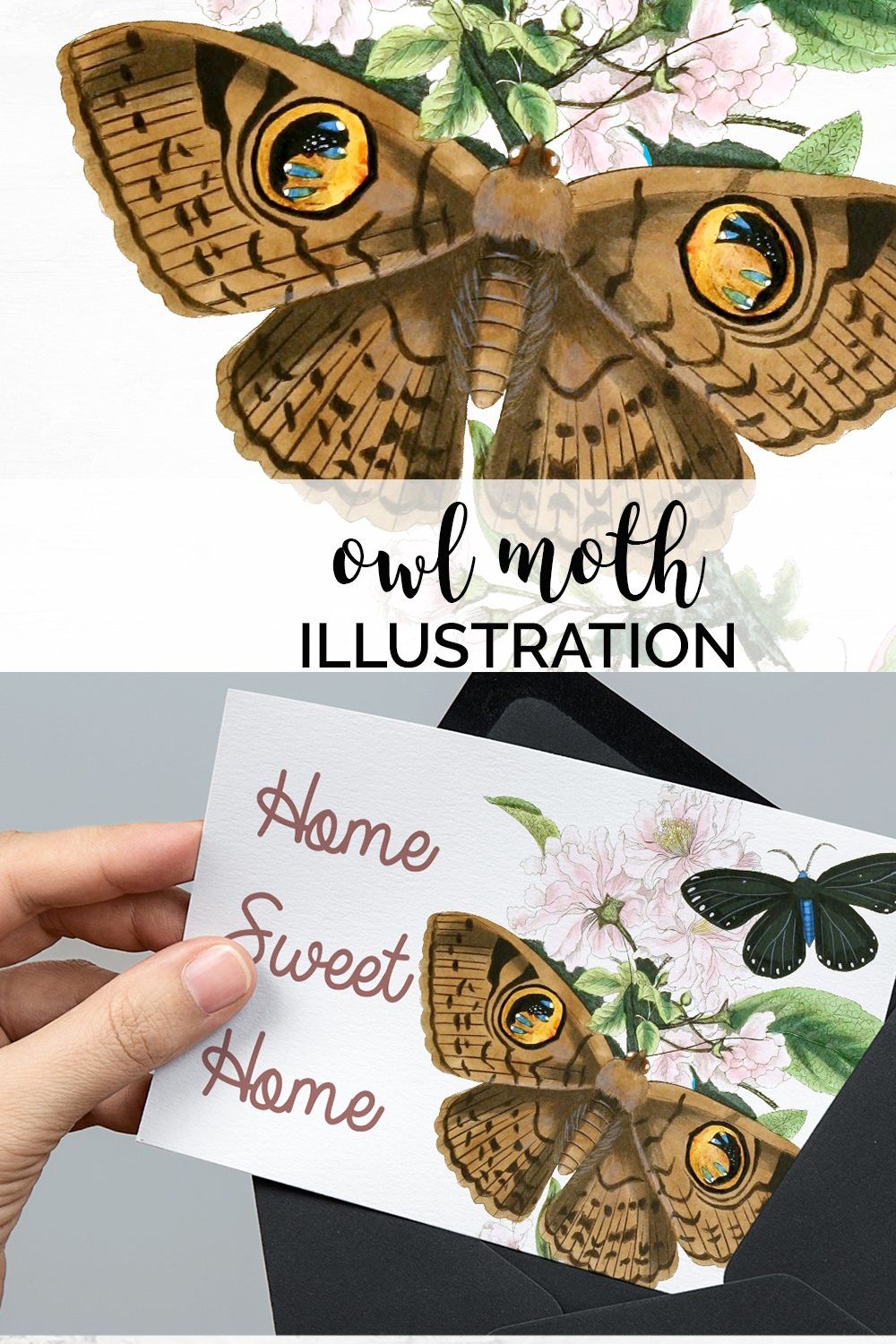 Owl Moth Butterfly Vintage Insect pinterest preview image.