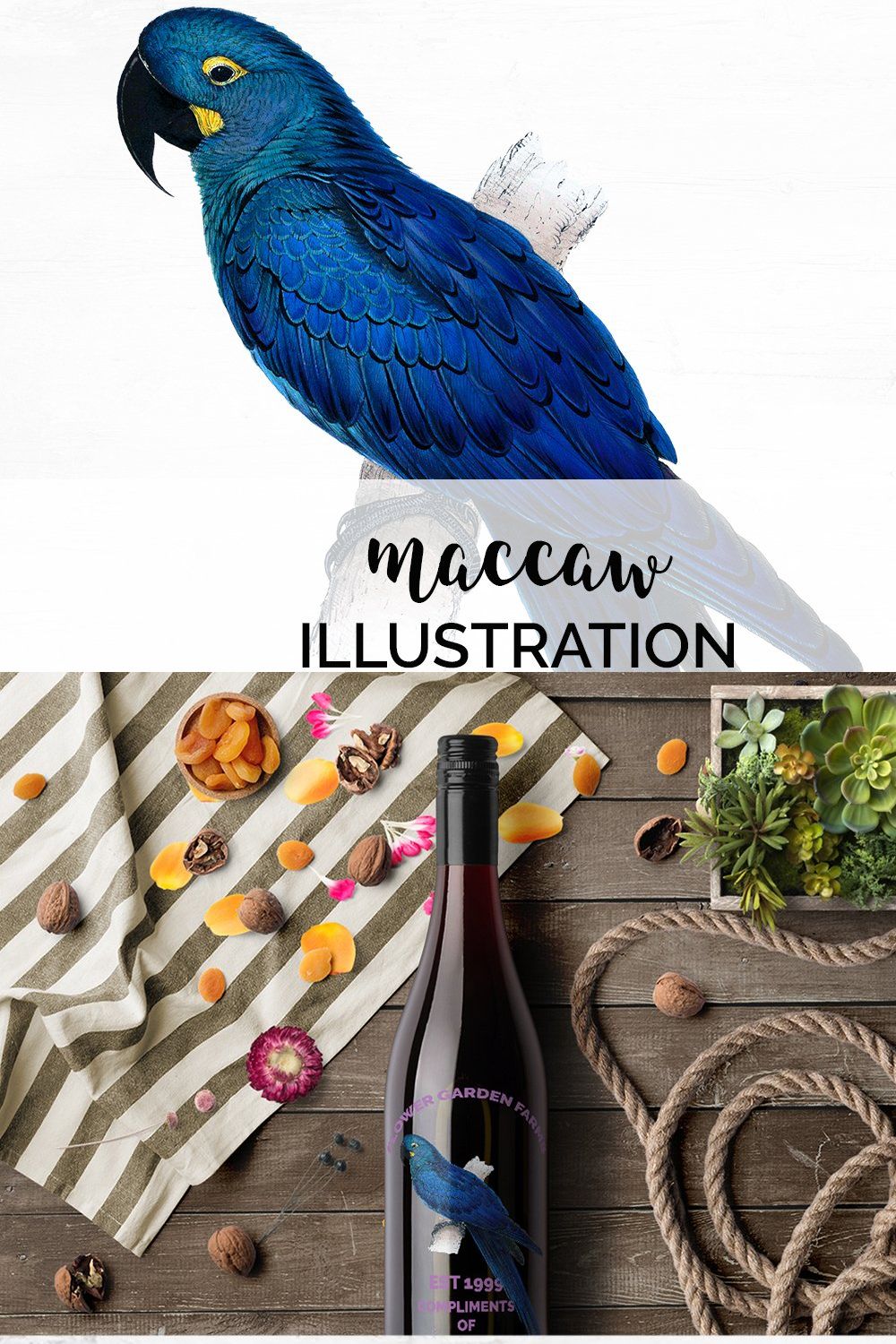 Parrot Hyacinth Macaw Blue Parrot pinterest preview image.