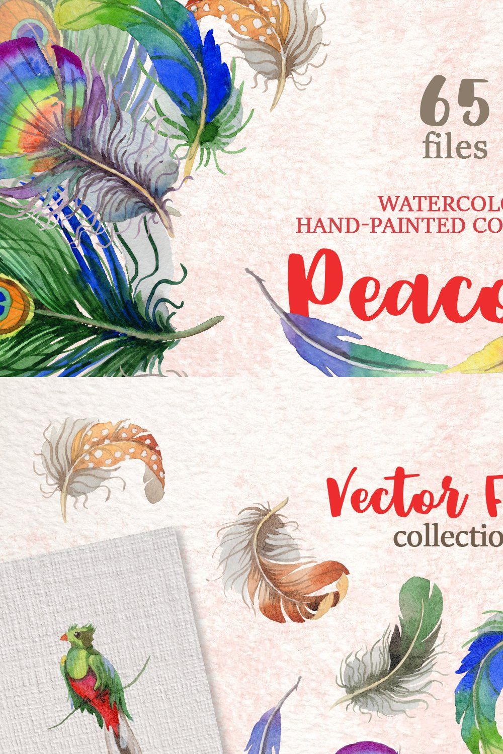 Peacock Watercolor png pinterest preview image.