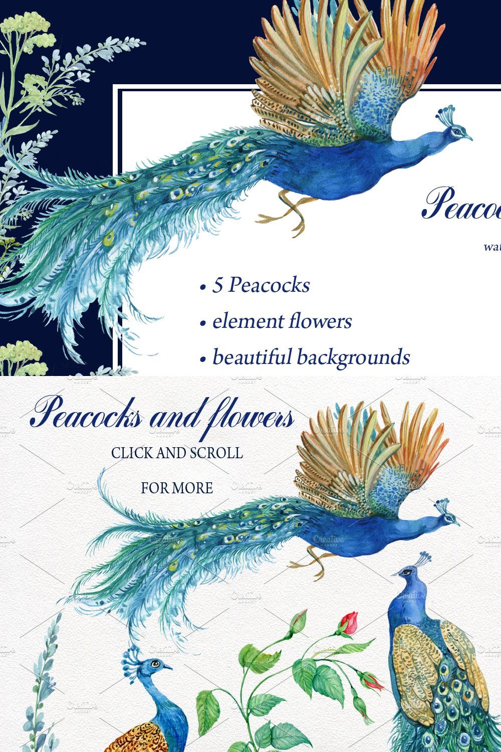 Peacocks and flowers/watercolor pinterest preview image.