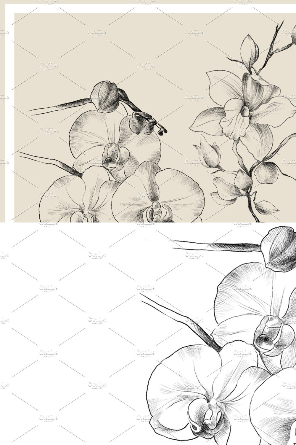 Pencil drawing Orchid flowers pinterest preview image.