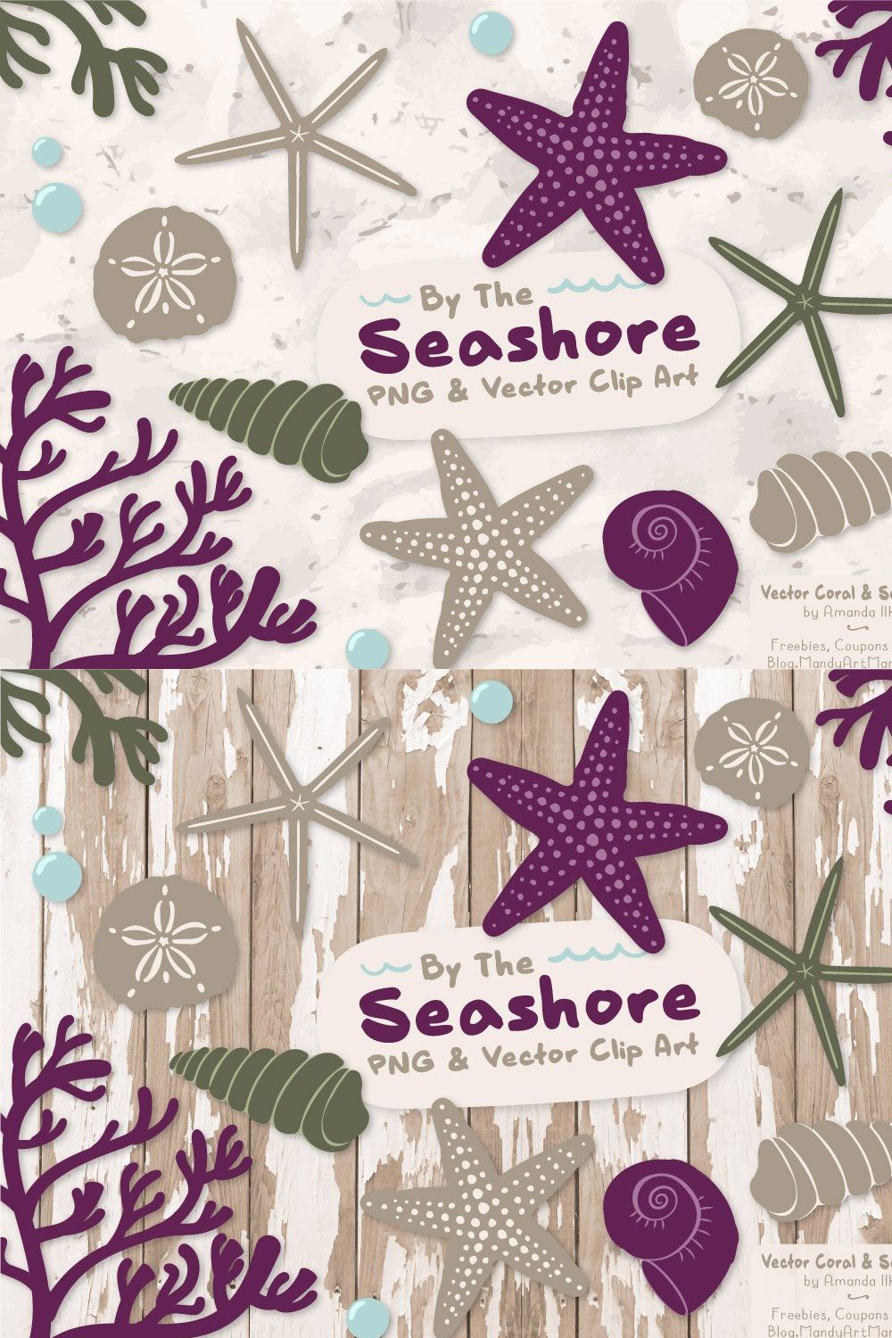 Plum Vector Seashells pinterest preview image.