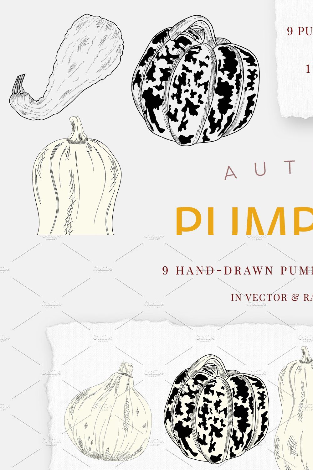 Pumpkins, hand drawn illustrations pinterest preview image.