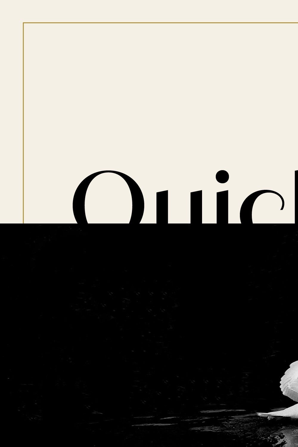 Quiche Sans Font Family pinterest preview image.
