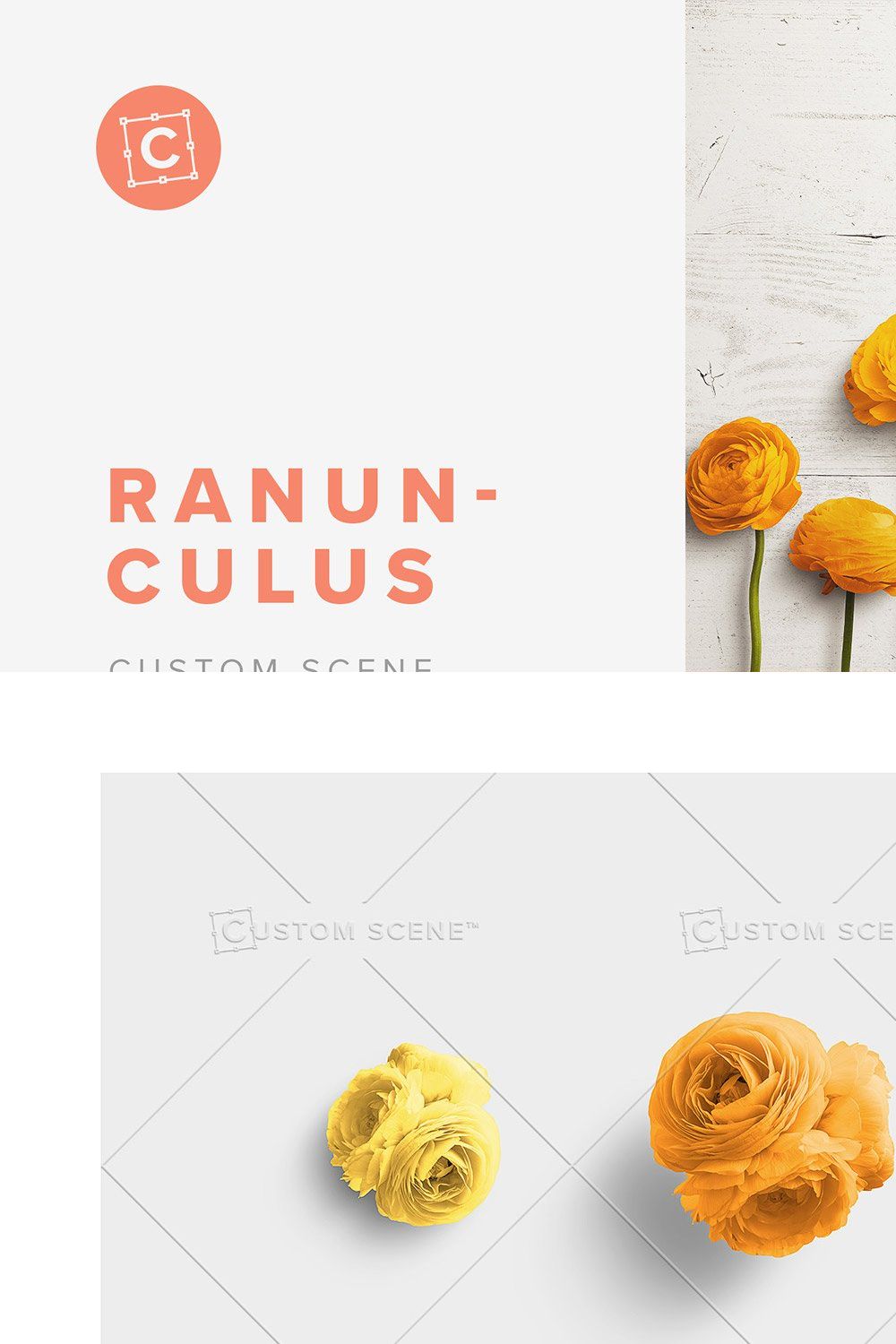 Ranunculus Flower Scene Creator pinterest preview image.