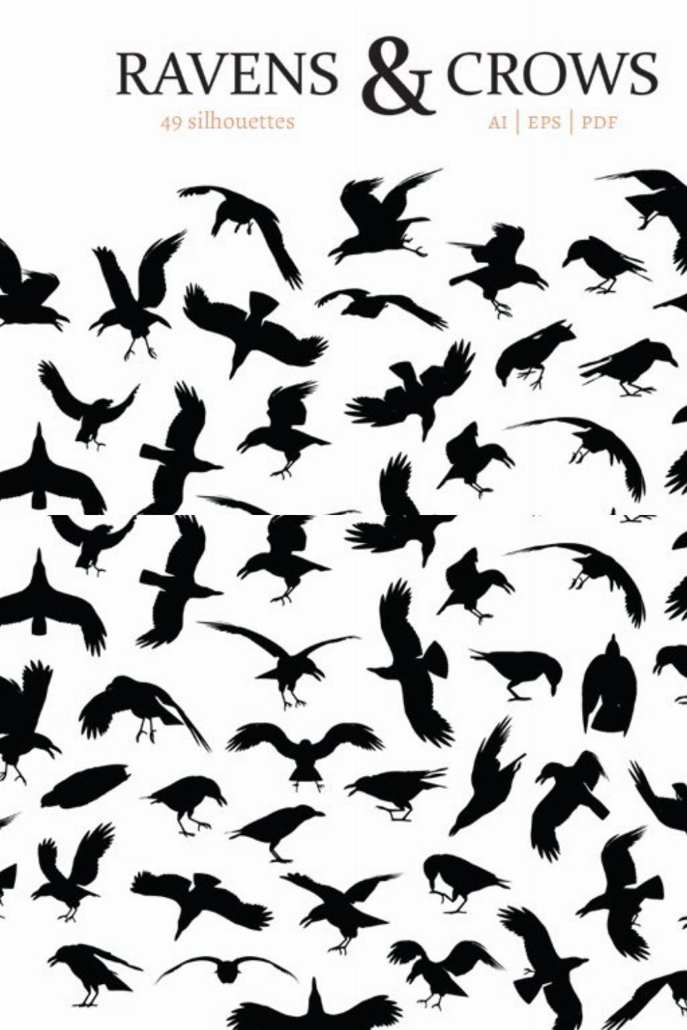 Ravens & Crows pinterest preview image.