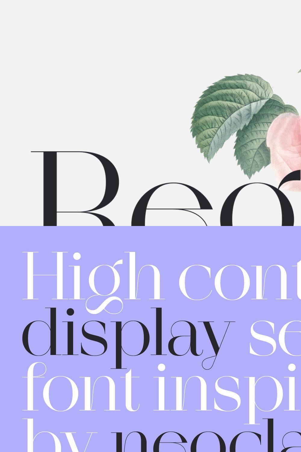 Regonia Display Serif Typeface pinterest preview image.