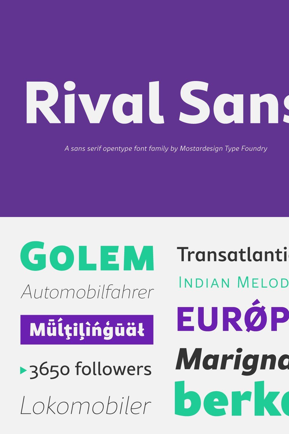 Rival Sans Font Family pinterest preview image.