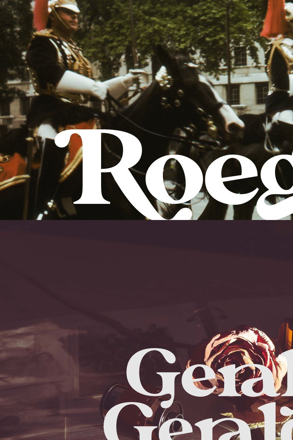 Roegals - A Variative Classy Serif pinterest preview image.