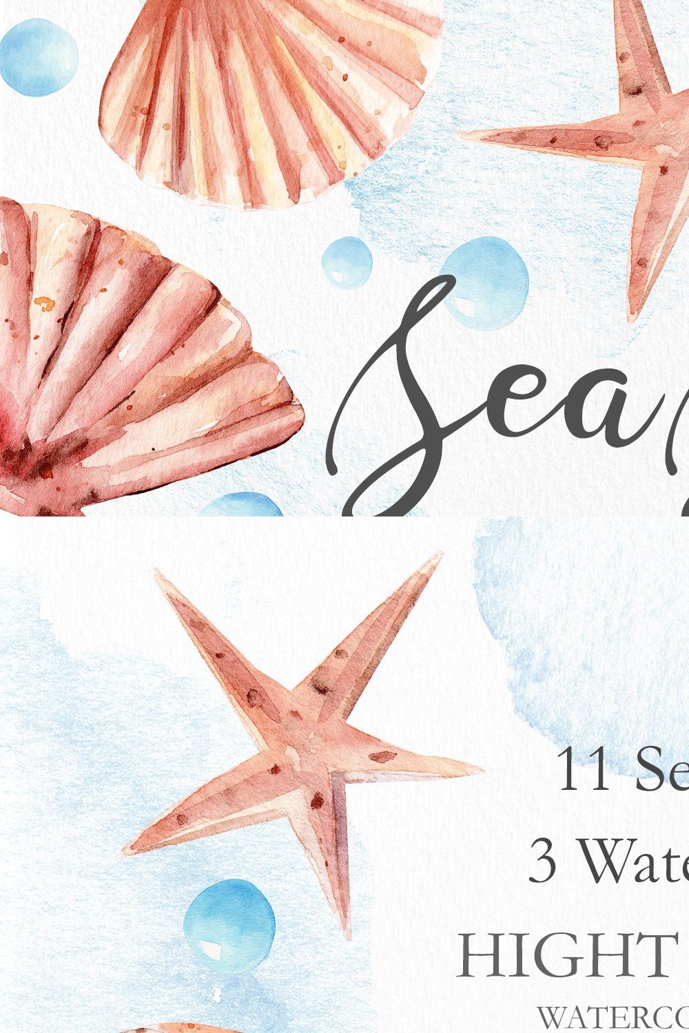 Seashells Clipart Collection pinterest preview image.