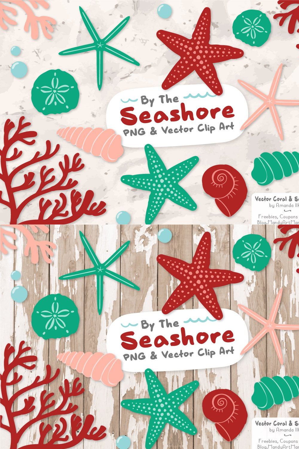 Seashells Clipart in Cherry Bomb pinterest preview image.