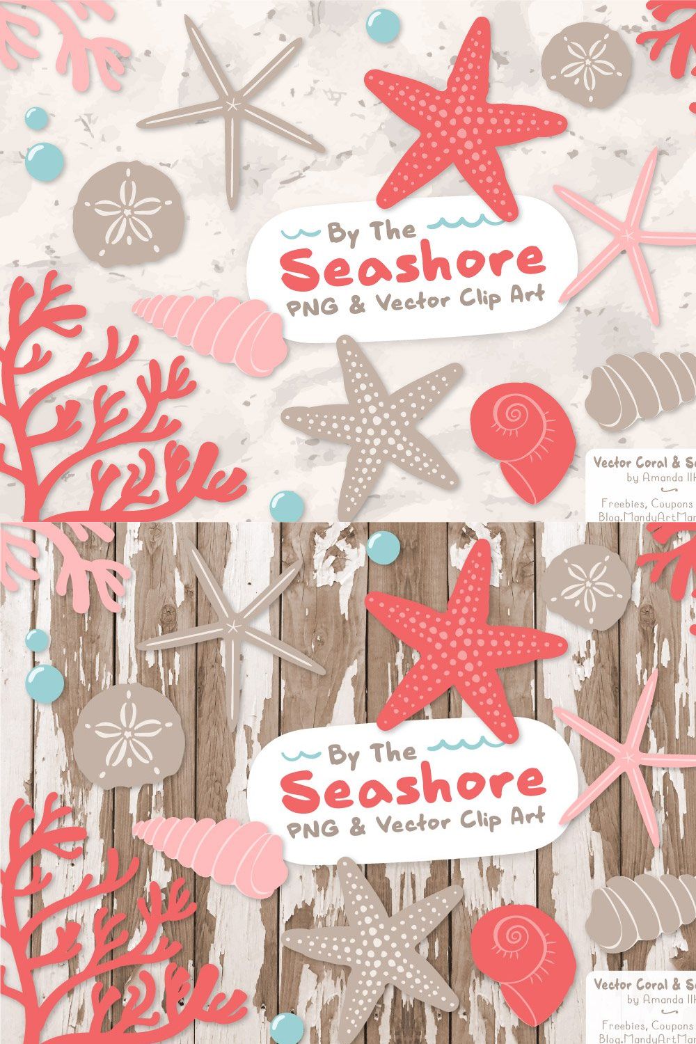 Seashells Clipart in Coral pinterest preview image.