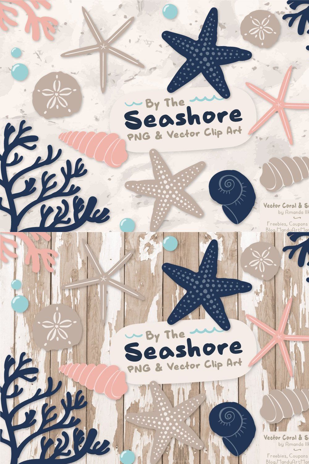 Seashells Clipart in Navy & Blush pinterest preview image.